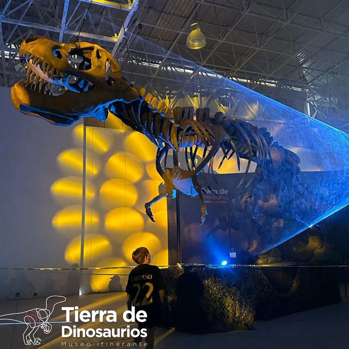 
                  
                    TIERRA DE DINOSAURIOS 22/NOV 11AM - 7PM
                  
                